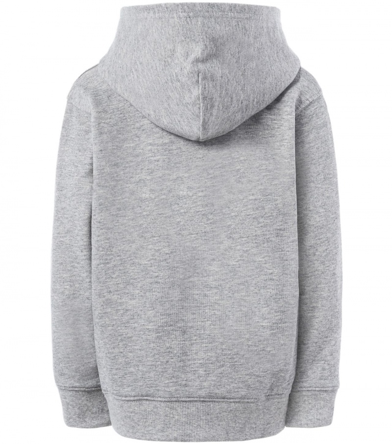 Grey Onitsuka Tiger Hoodie | 21067-VYKS