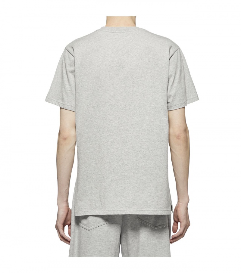 Grey Onitsuka Tiger T Shirts | 07541-YRVC