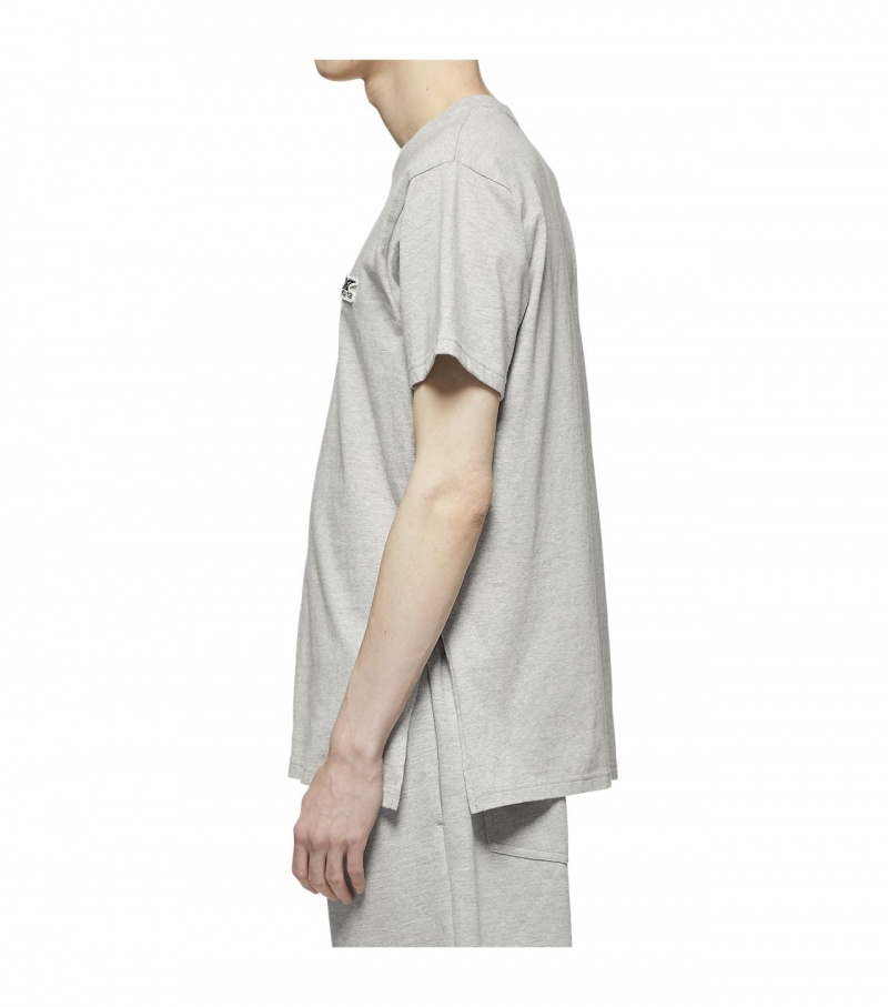 Grey Onitsuka Tiger T Shirts | 36974-GRMP